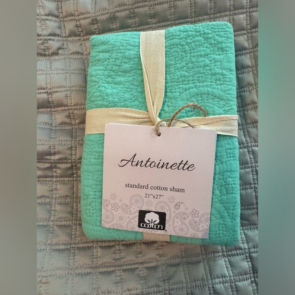 NWT set of 2 standard shams
